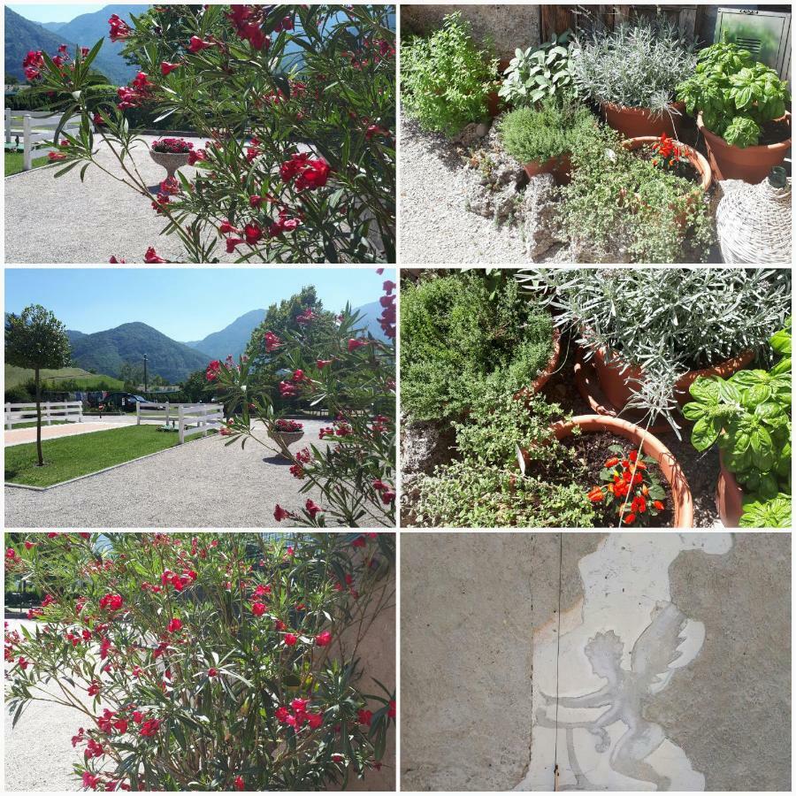 Aparthotel Ledro Lake *